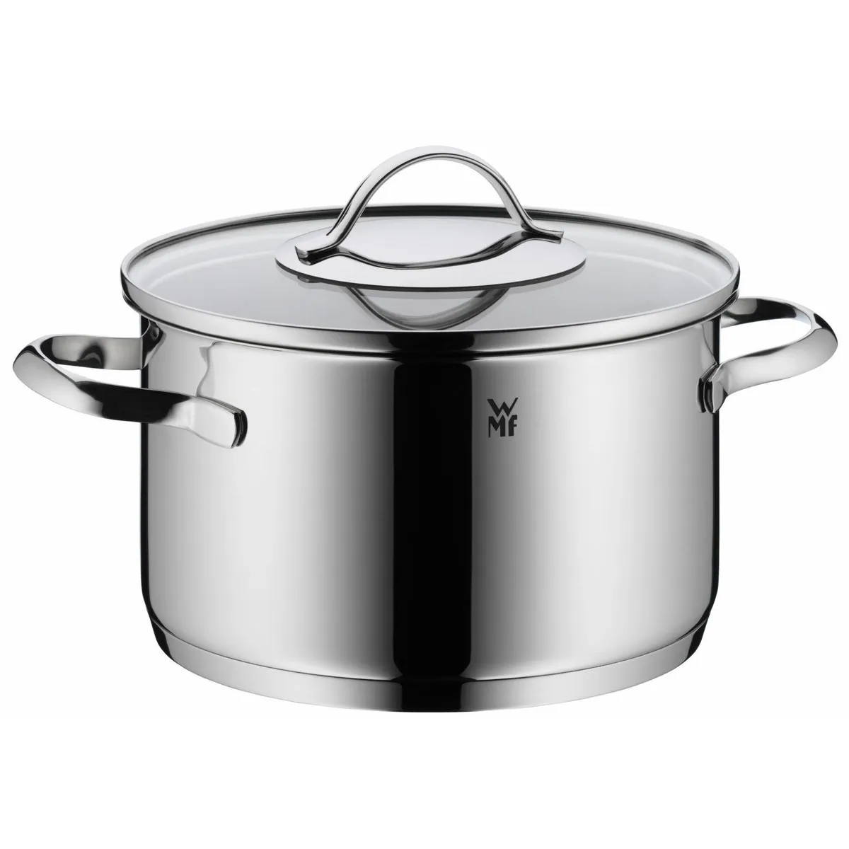 WMF Aparto Fleischtopf, 20 cm, Edelstahl 18/10 — unbeschichtet, Glasdeckel, induktionsgeeignet